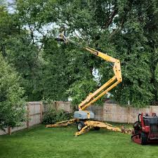 Lawn Grading and Leveling in Salina, KS